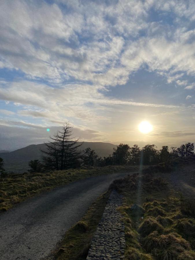Tanglewood Stays Newry Exterior foto